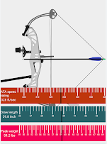 Arrow speed calculator recurve