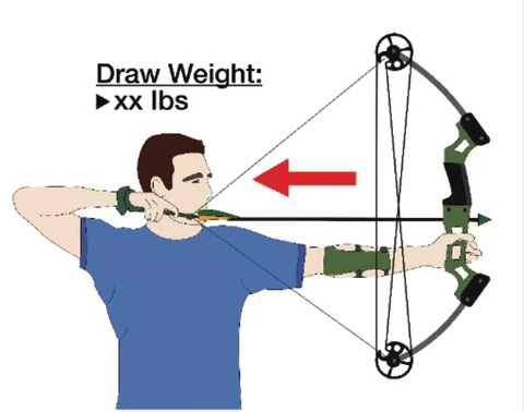 Arrow weight speed calculator