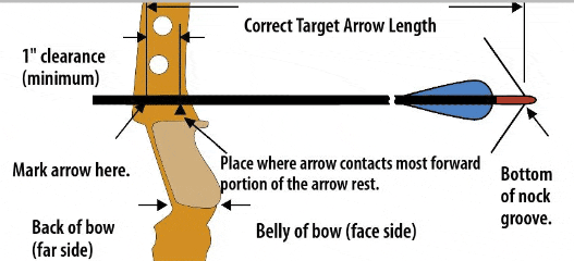 Calculating Draw Weight